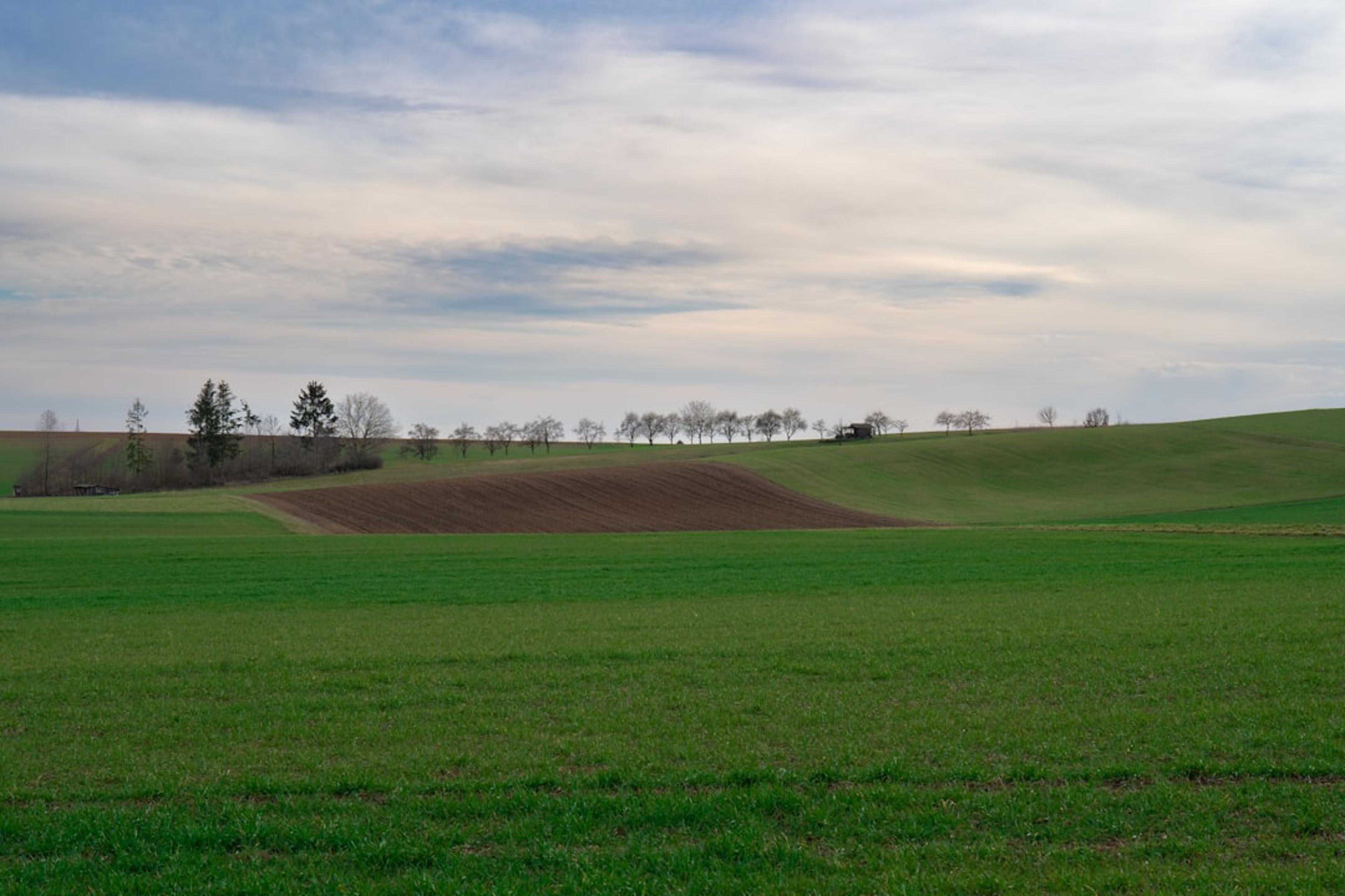 Soft Fields Are Saving Online Poker — For Now